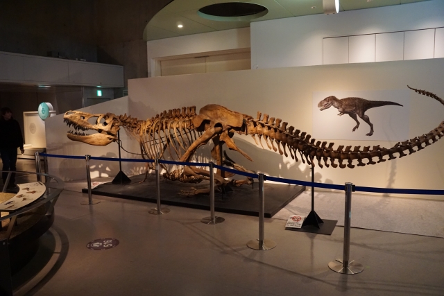 国立科学博物館のしゃがんだティラノサウルス画像.jpg